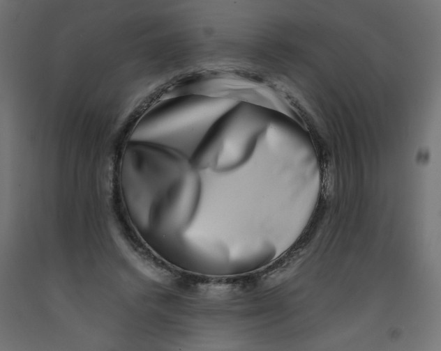 X0000092290448200710121437