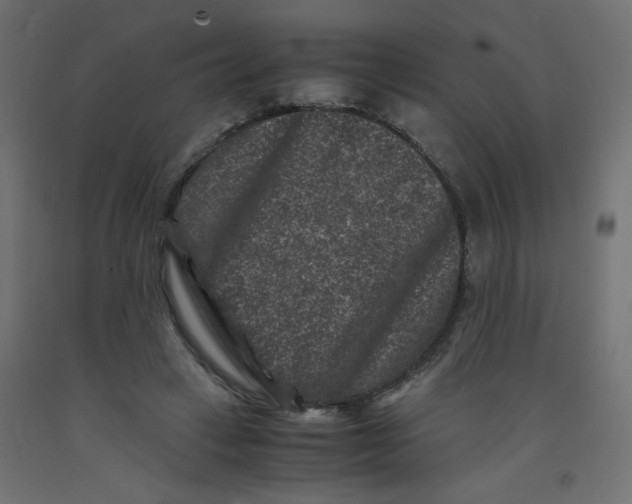 X0000092290449200710121437