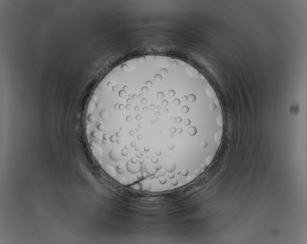 X0000092290451200710121437