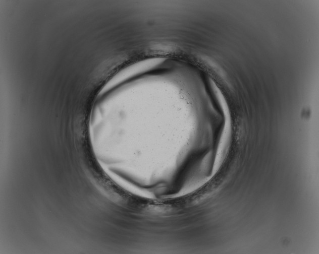 X0000092290455200710121437