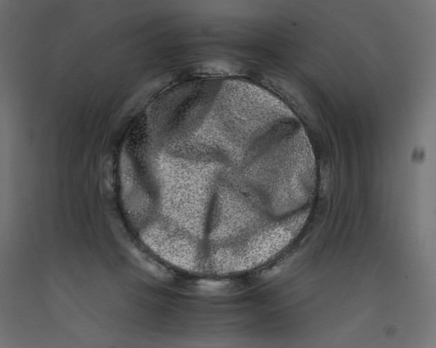 X0000092290457200710121437