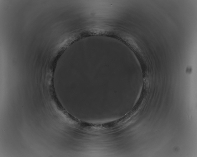 X0000092290458200710121437