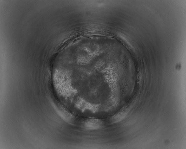 X0000092290459200710121437