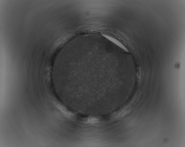 X0000092290462200710121437