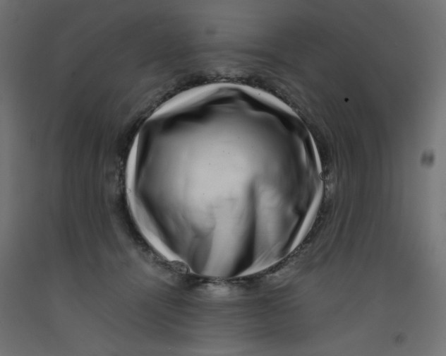 X0000092290464200710121437