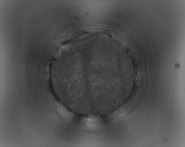 X0000092290466200710121437