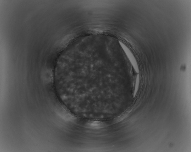 X0000092290467200710121437