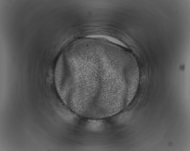 X0000092290469200710121437