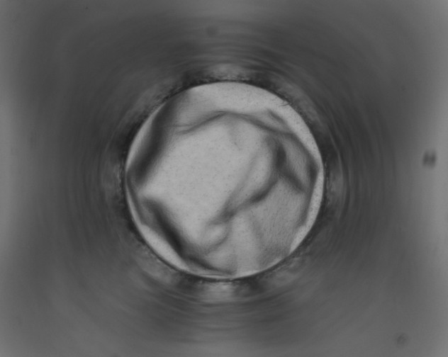 X0000092290473200710121437