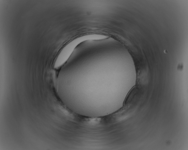 X0000092290474200710121437