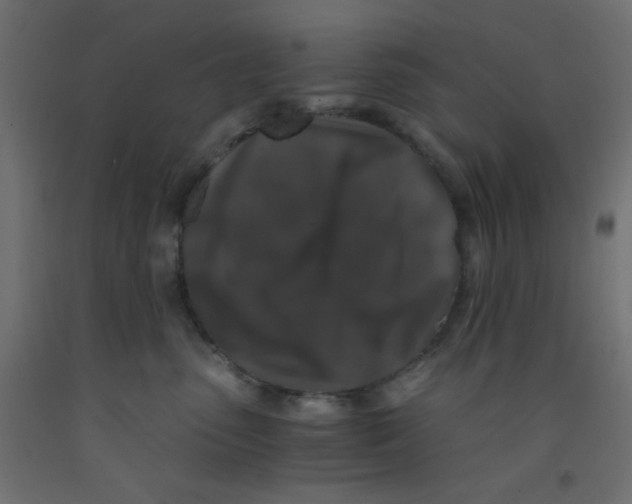 X0000092290475200710121437