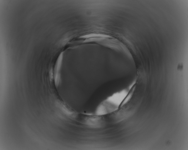 X0000092290479200710121437