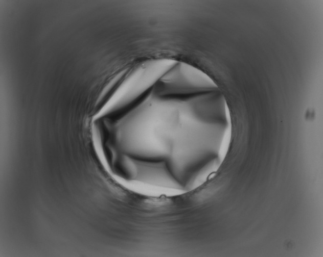 X0000092290480200710121437