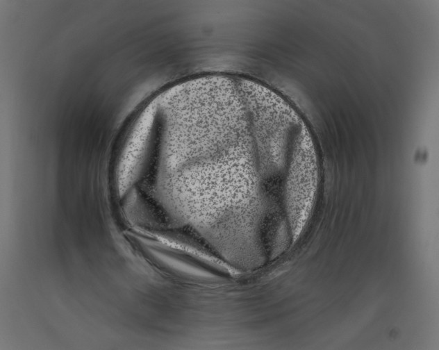 X0000092290482200710121437