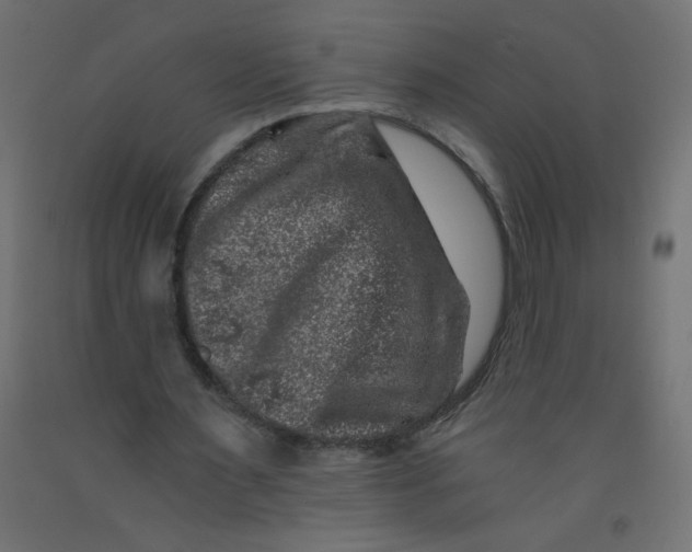 X0000092290483200710121437