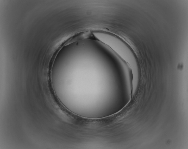 X0000092290485200710121437