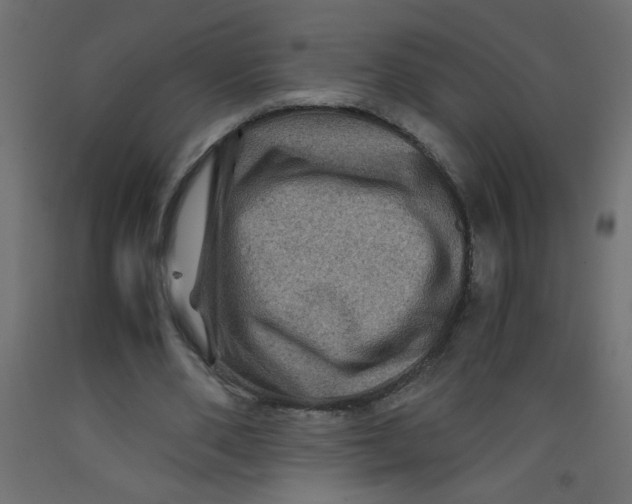 X0000092290486200710121437