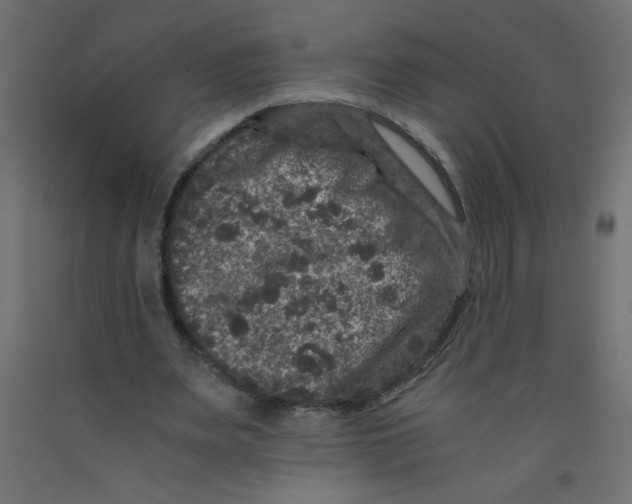 X0000092290487200710121437