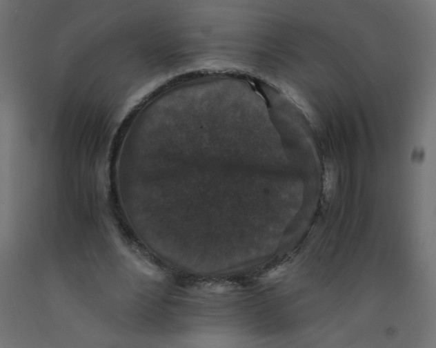 X0000092290488200710121437