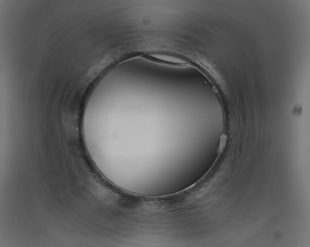 X0000092290489200710121437