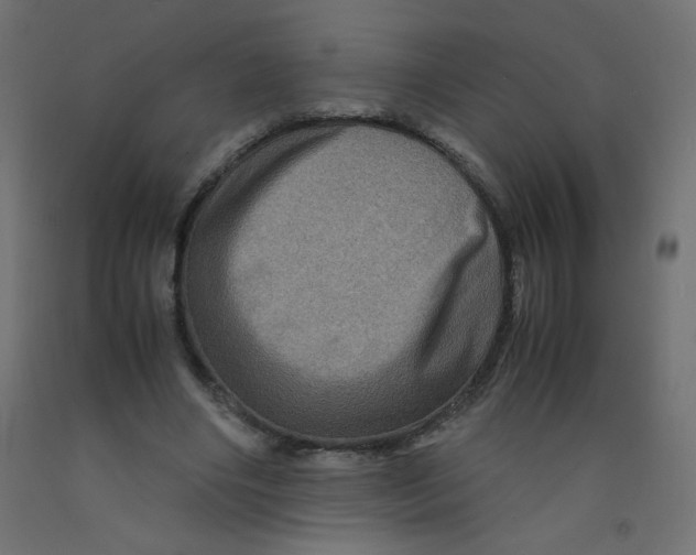 X0000092290490200710121437