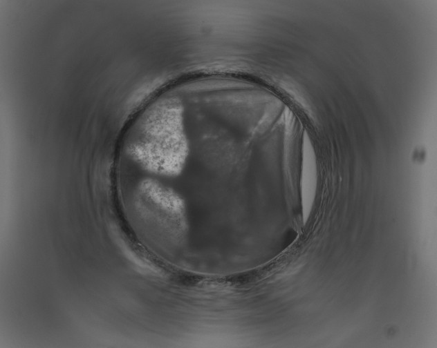 X0000092290491200710121437