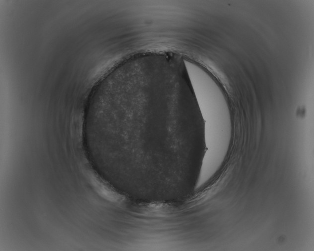 X0000092290493200710121437