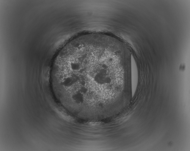 X0000092290495200710121437