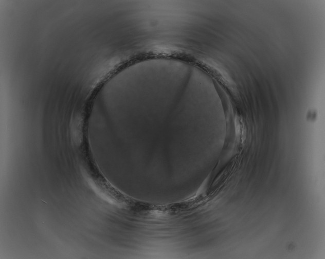 X0000092290496200710121437