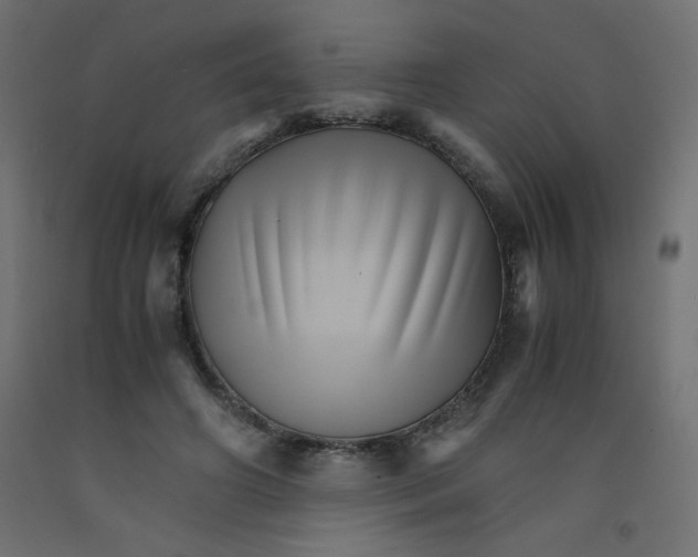 X0000092290498200710121437