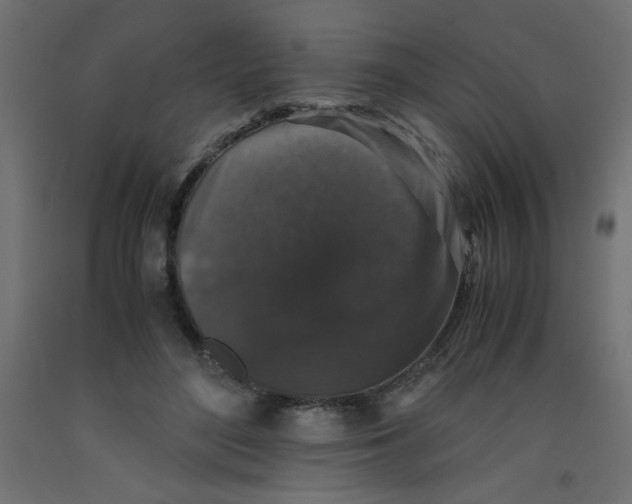 X0000092290500200710121437