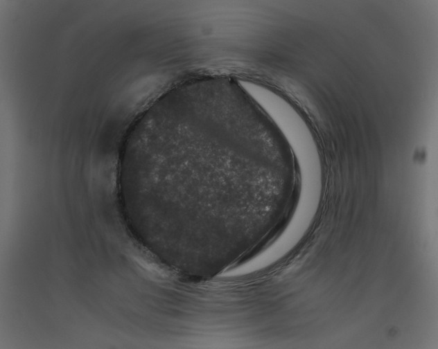 X0000092290501200710121437