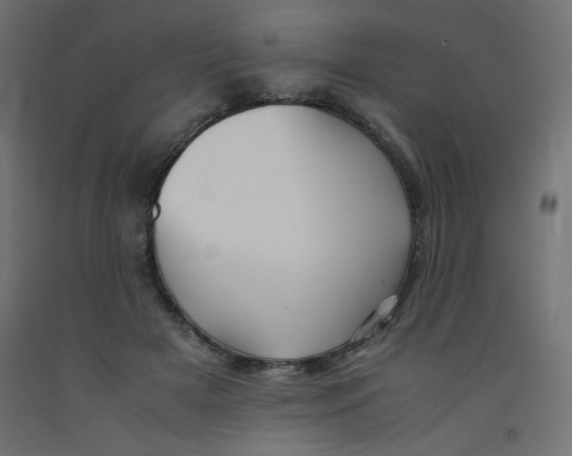 X0000092290505200710121436