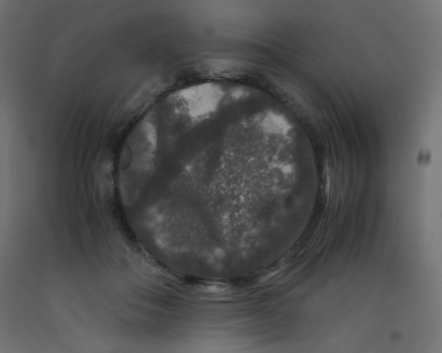 X0000092290506200710121436