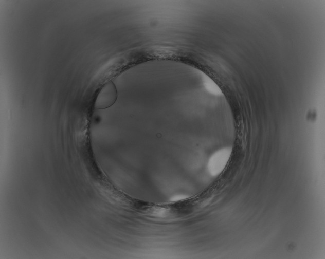 X0000092290507200710121436