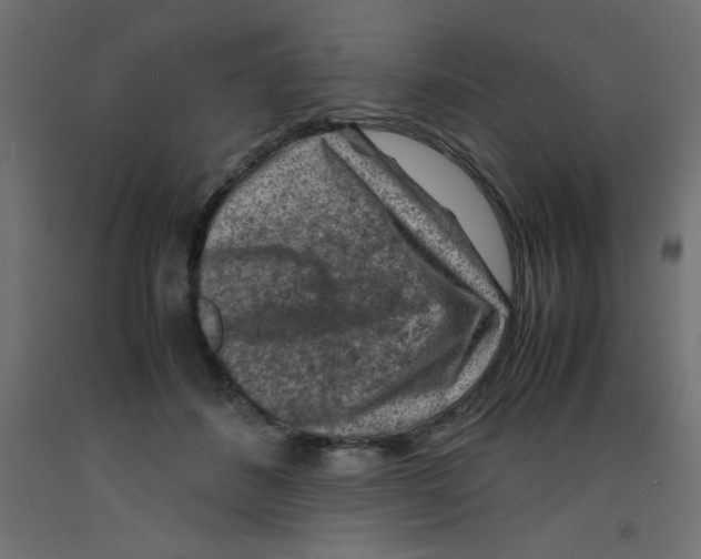 X0000092290508200710121436