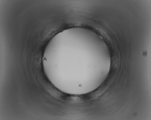 X0000092290509200710121436