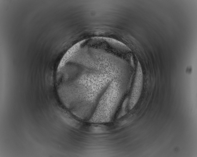 X0000092290510200710121436