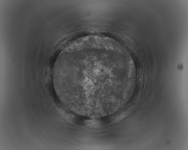 X0000092290511200710121436