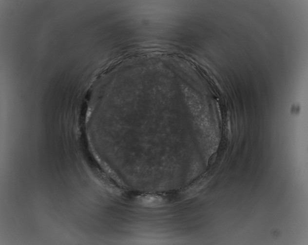 X0000092290512200710121436