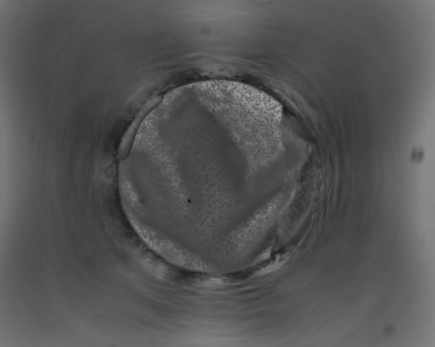 X0000092290513200710121436