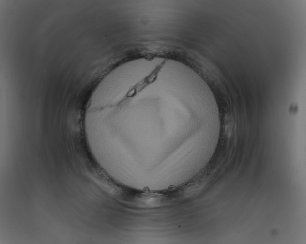 X0000092290514200710121436