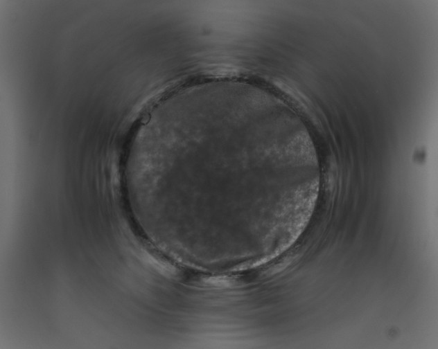 X0000092290516200710121436