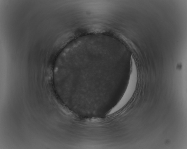 X0000092290517200710121436