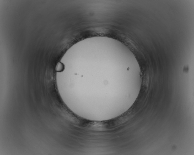 X0000092290518200710121436