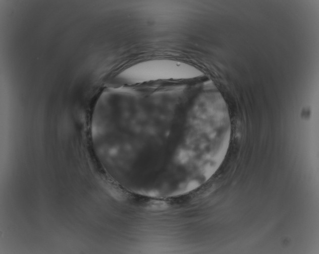 X0000092290519200710121436