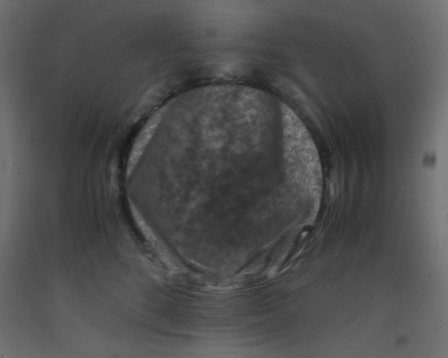 X0000092290520200710121436