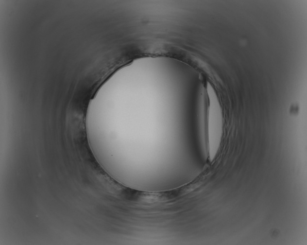 X0000092290521200710121436