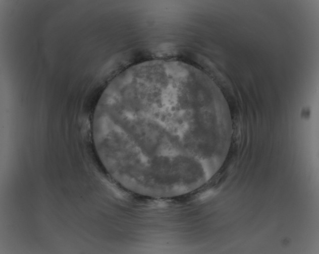 X0000092290523200710121436