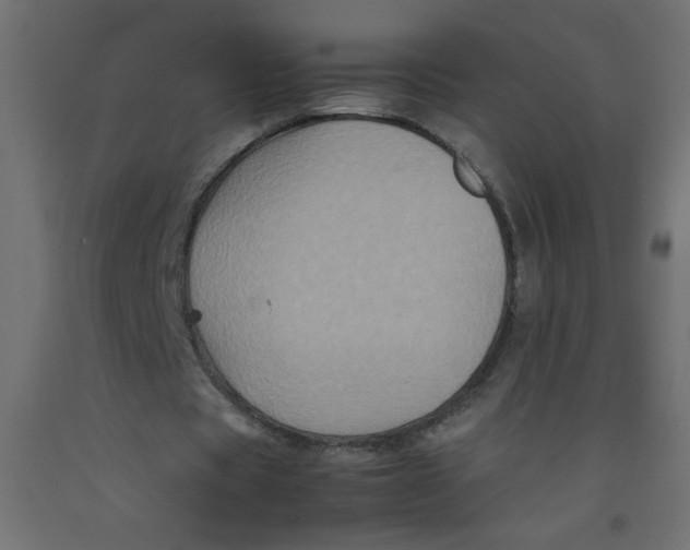 X0000092290529200710121436